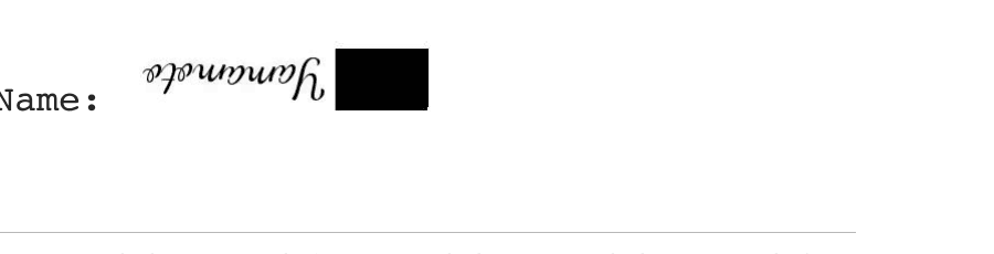 The output at t040: "Name:" followed by the cursive word Yamamoto, upside down and fully legible, and a black box where Freya was.